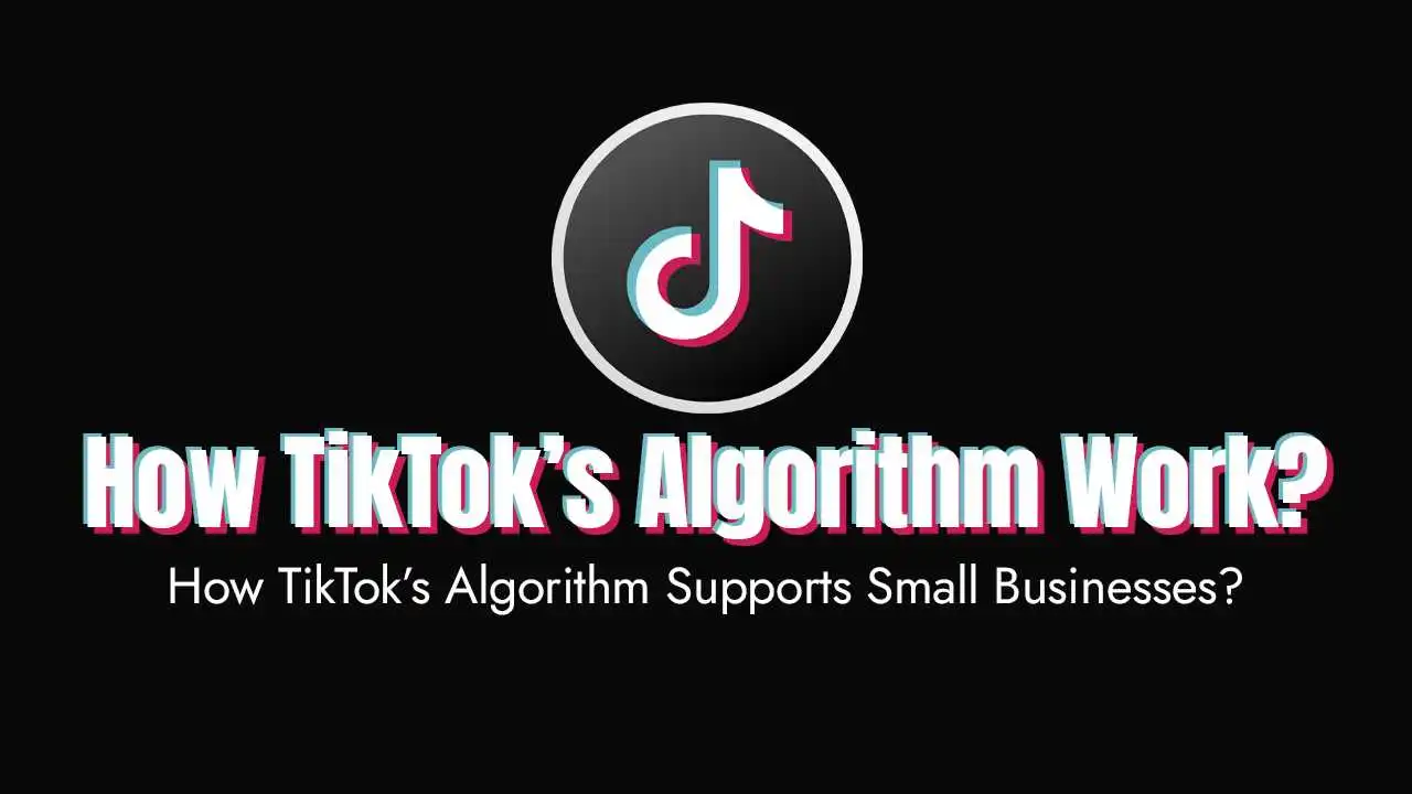 How TikTok’s Algorithm Supports Small Businesses