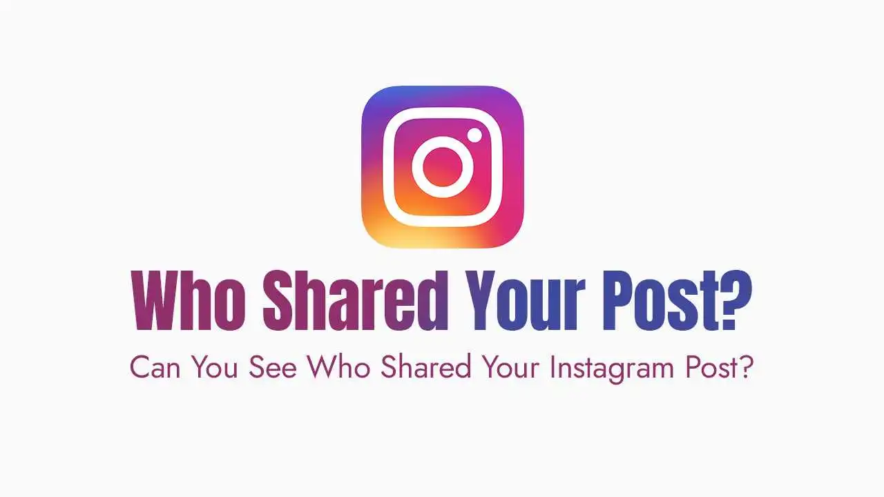 Can You See Who Shared Your Instagram Post?