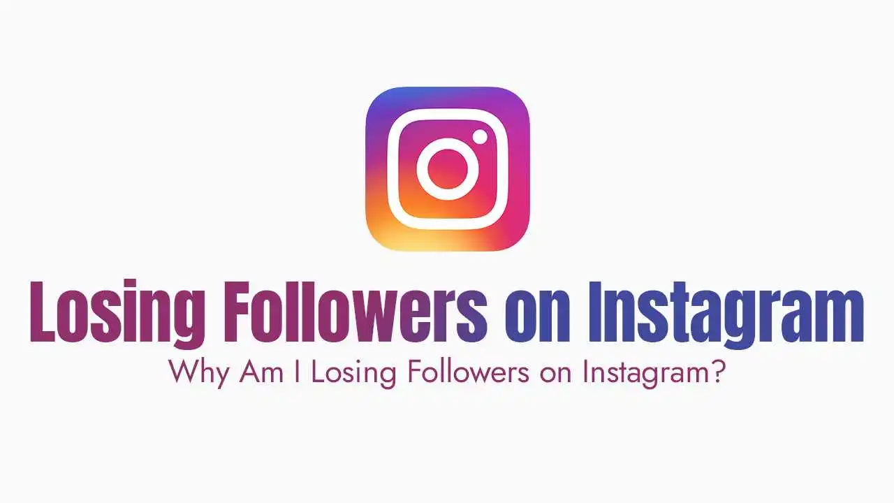 Why Am I Losing Followers on Instagram?