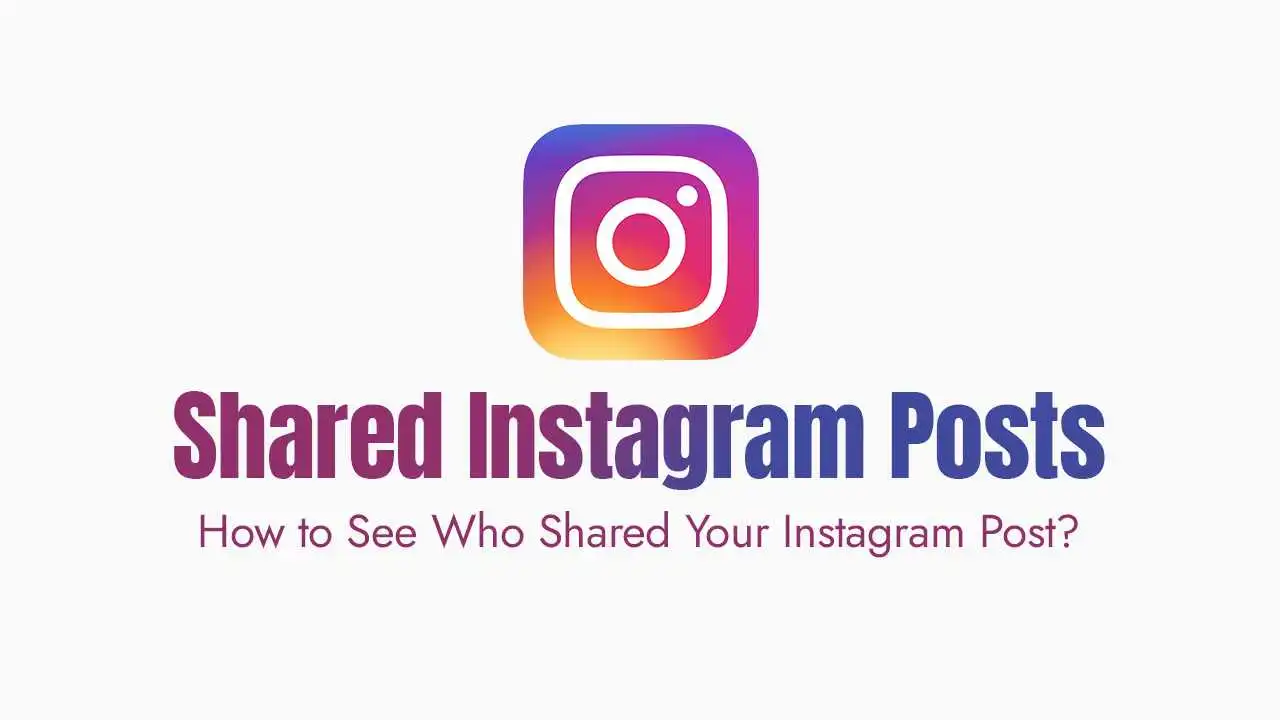 How to See Who Shared Your Instagram Post?